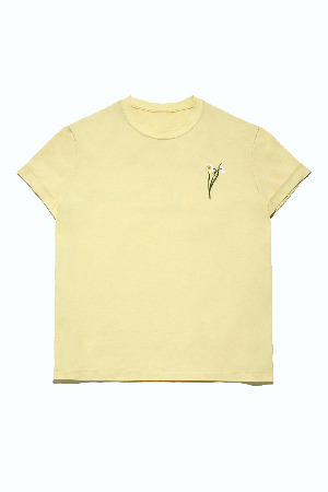 Organic dye TEE