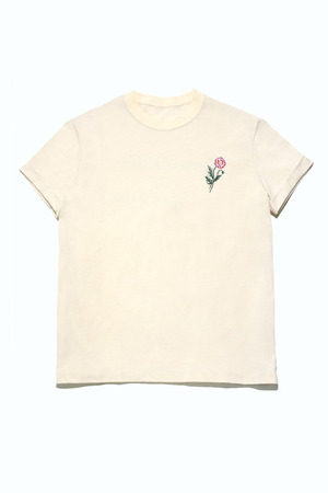 Organic dye TEE