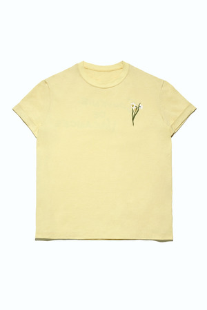 Organic dye TEE