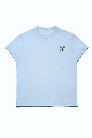 Organic dye TEE