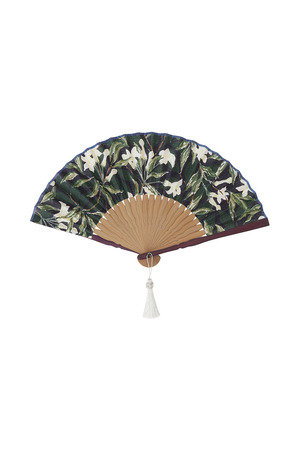 扇子（Jasmine）